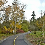 Arboretum Loop Trail Grand Opening