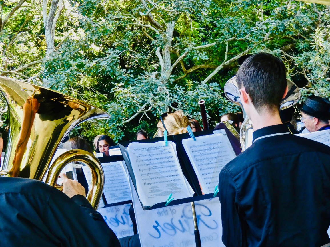 Bands in Parks: Flower Power