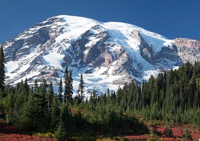 Art Meets Science atop Mount Rainier's Glaciers