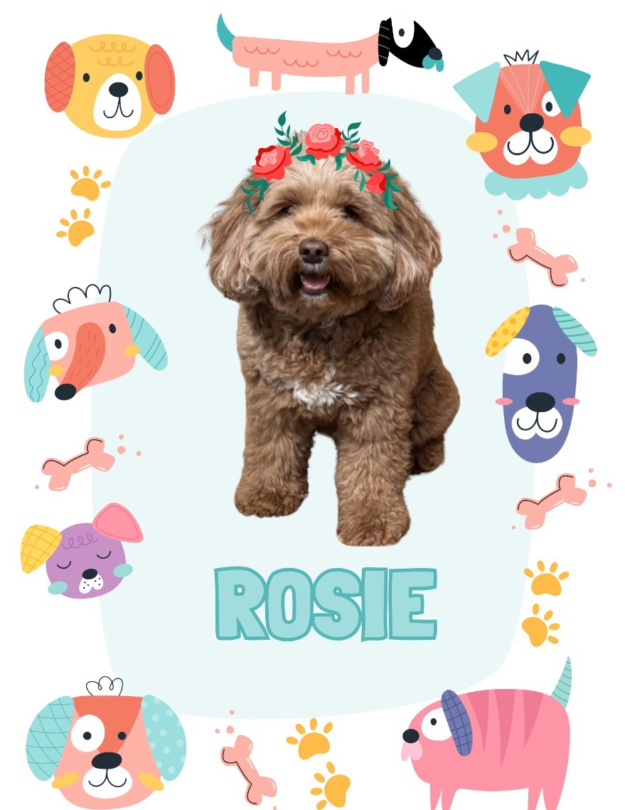 Paws to Read with Rosie