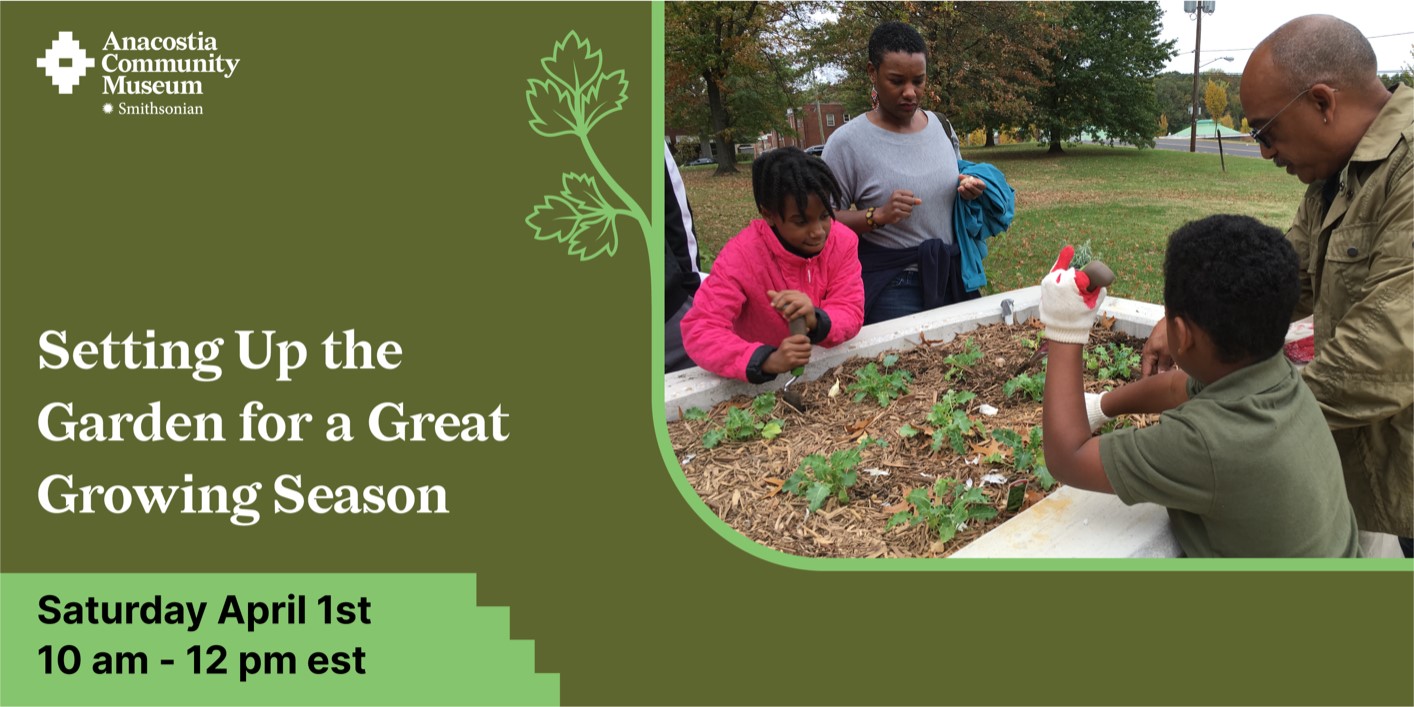 Urban Gardening: Setting up the Garden, Plants for a Great Growing Season