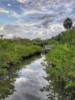 Clam Bayou Environmental History Walking Tour Clam Bayou Environmental History Walking Tour