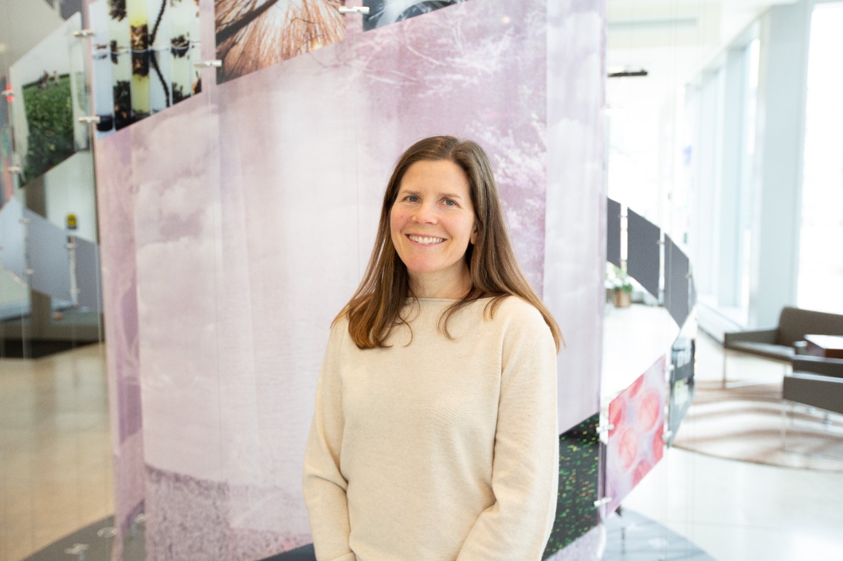 "Does Drought Alter Plant Responses to Ozone Stress?"
