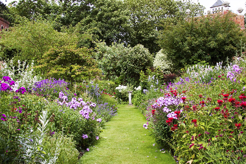 Flowers for shady gardens