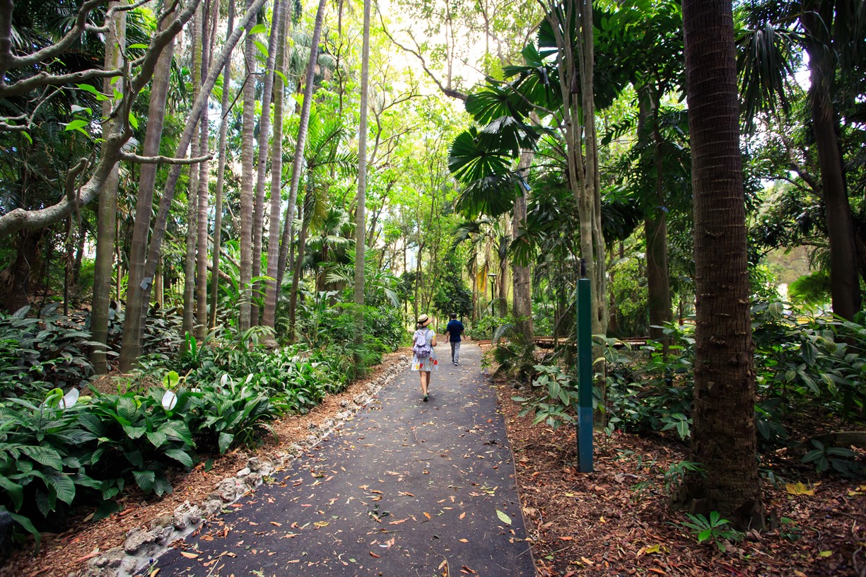 Around the world in 90 minutes! - Guided walk - City Botanic Garden