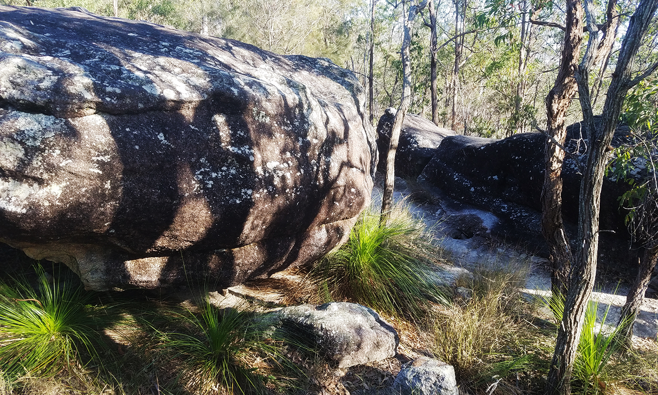 Twilight walk - Karawatha Rocks Track