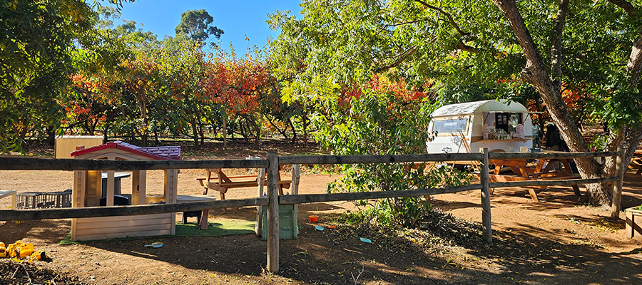 Willow Springs Orchard
