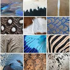 Fur, Feathers, and Scales with the WNC Nature Center