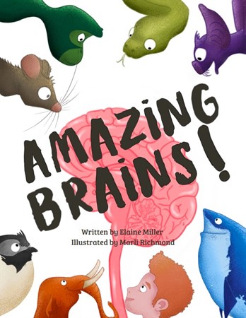 Video Webinar for Families: Natural History at Home - "Amazing Brains!"