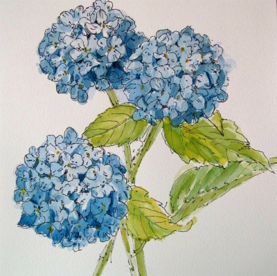 Sold Out - Botanical Sketching In Ink and Watercolor (online)