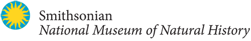 Calendar banner