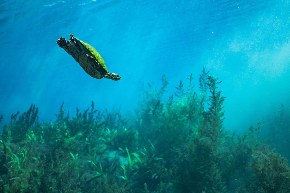 World Water Day Celebration Family Fun Day