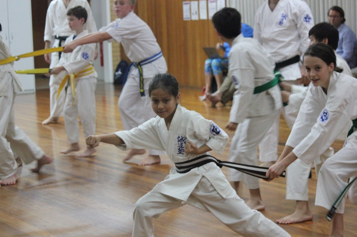 Seido Karate Classes for Children