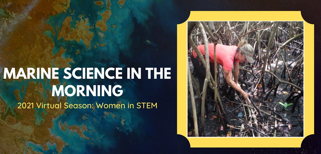 Marine Science in the Morning: Mangrove Research in Northern Florida