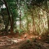 The Baltimore Canyon Story The Baltimore Canyon Story