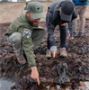 Kids' Tide Pooling Kids' Tide Pooling