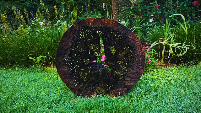 Alchemy for artists and gardeners