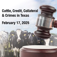 Cattle, Credit, Collateral & Crime in Texas