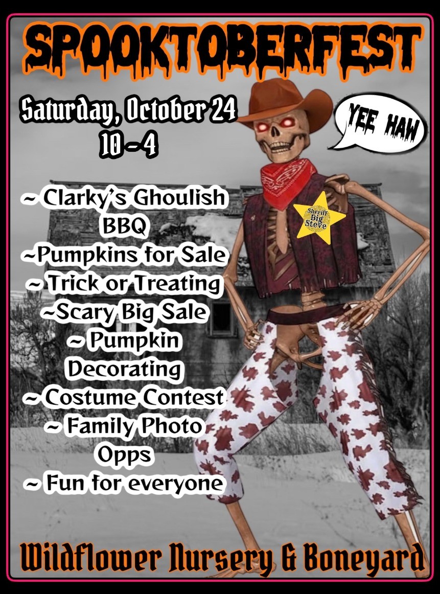Spooktoberfest at Wildflower Nursery