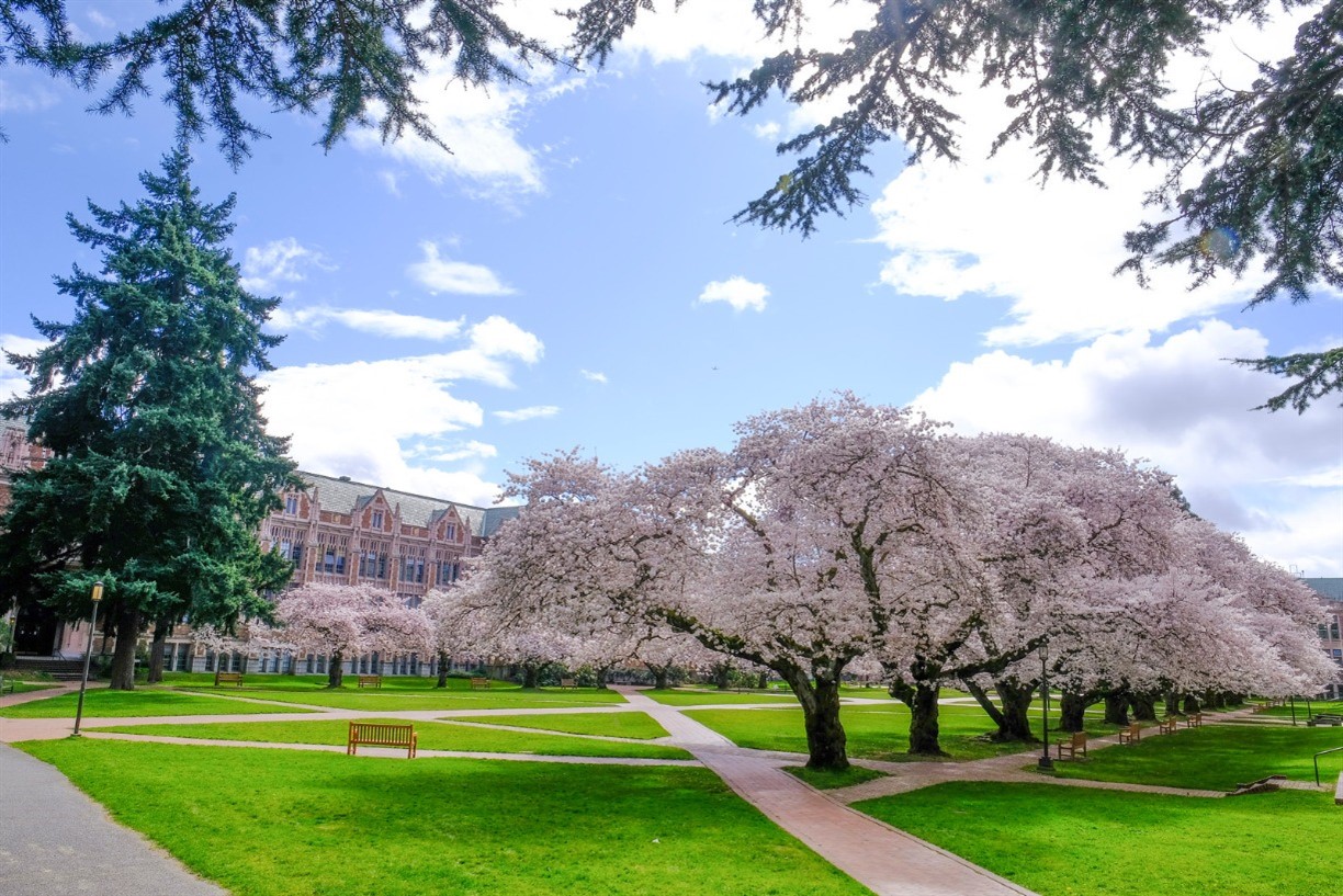 MJ2308 40th Annual Review Course in Physical Medicine & Rehabilitation