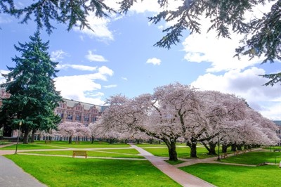 MJ2308 40th Annual Review Course in Physical Medicine & Rehabilitation