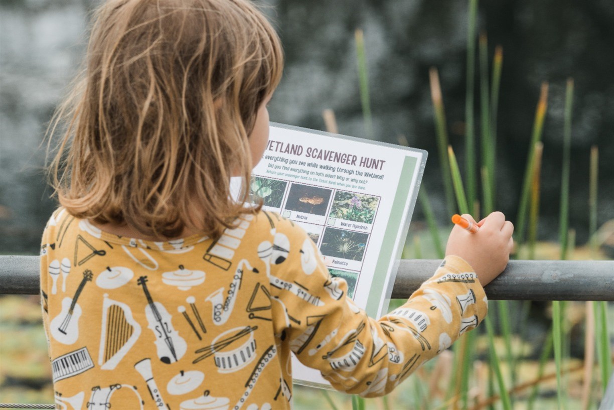 Homeschool Day: DIY Field Guides