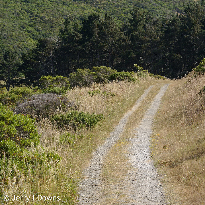 The Estero Trail