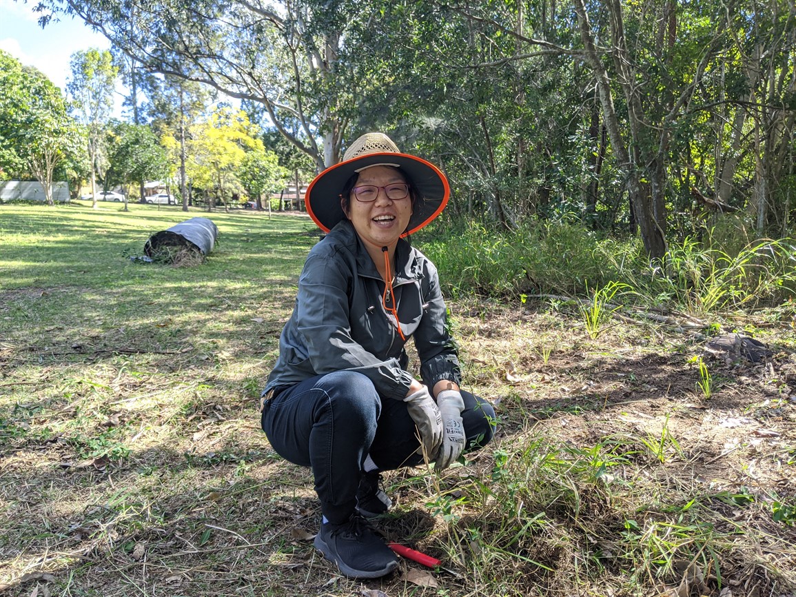 Clean Up Australia Day - Volunteer Bushcare Working Bee - Brandon Road Bushcare Group
