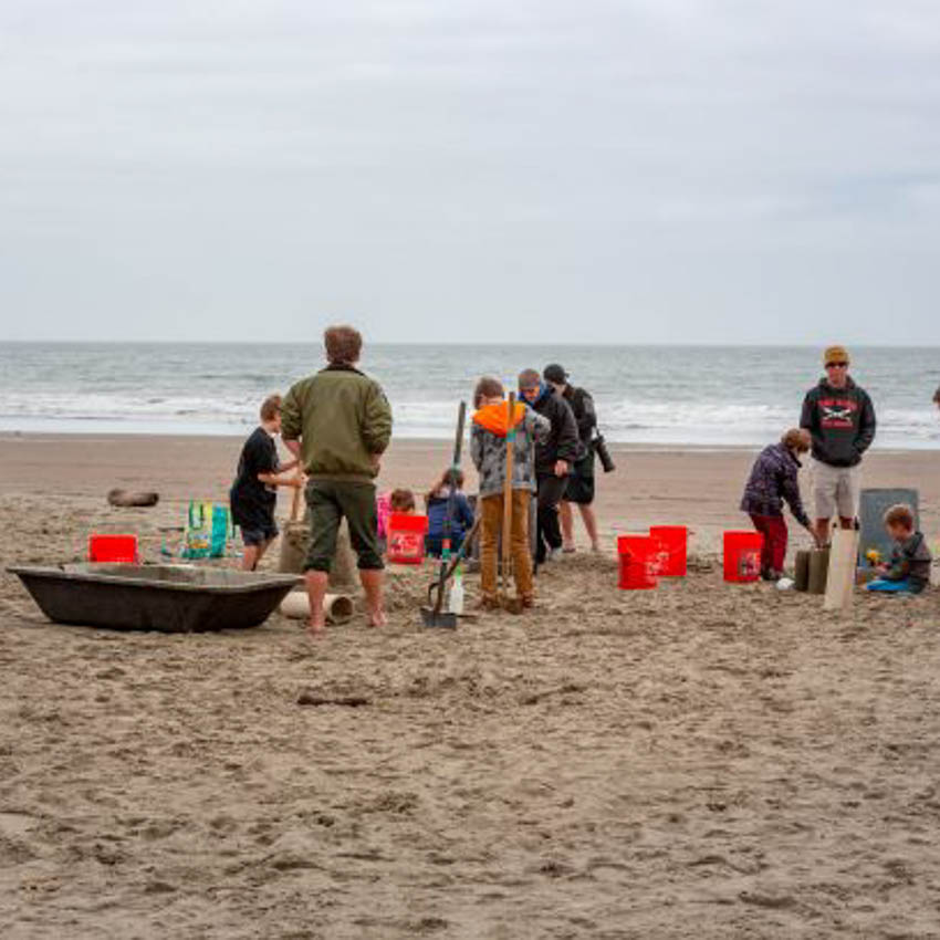 Winter Sand Castle Build