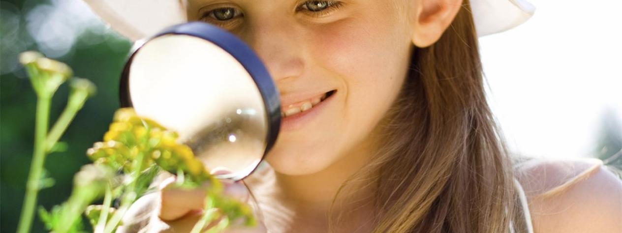 Botanical treasure hunt