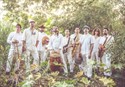 Summer at Soka: JUNGLE FIRE