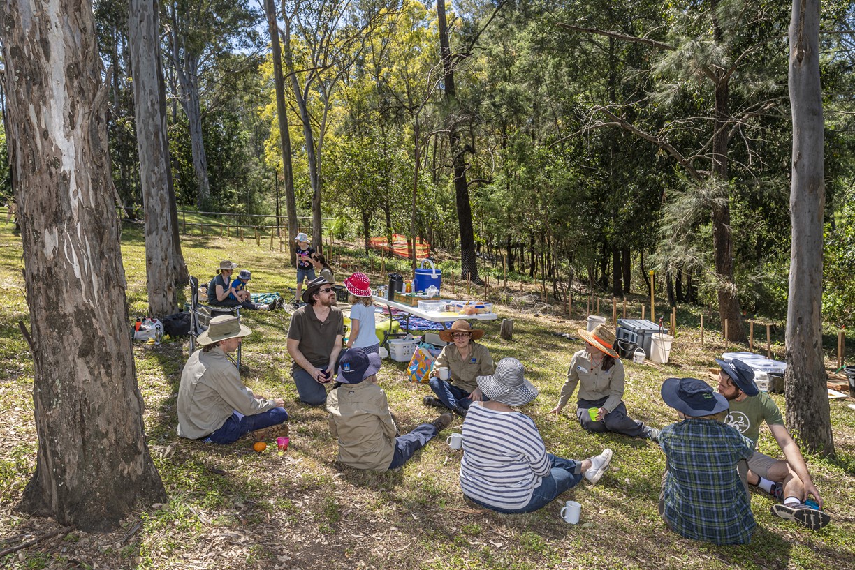 Volunteer Bushcare Working Bee - Greenbrook Association