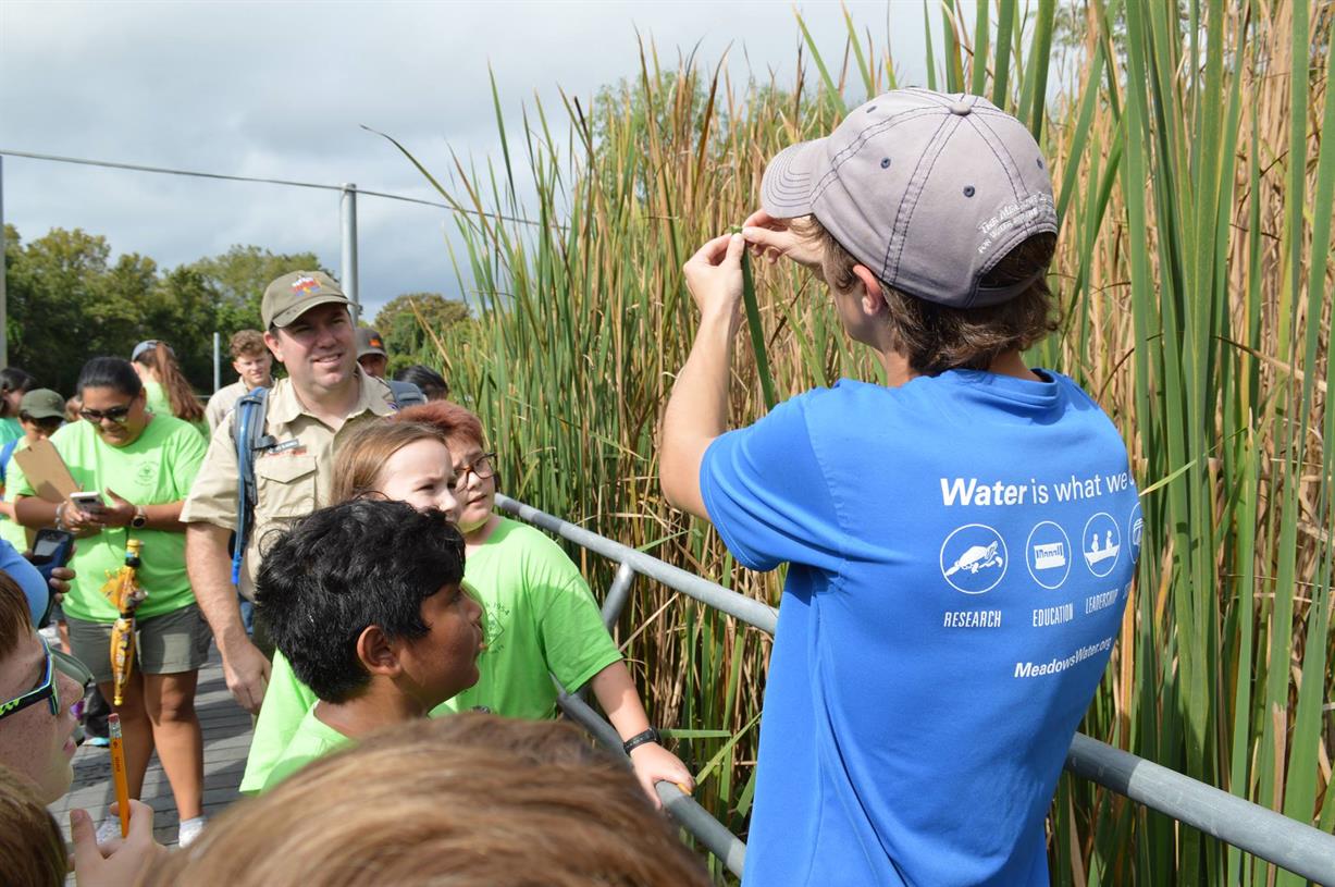 Boy Scout Badge Day: Webelos Into the Wild