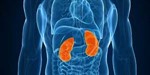 Genitourinary Multidisciplinary Tumor Board and Palliative Care Services Genitourinary Multidisciplinary Tumor Board and Palliative Care Services