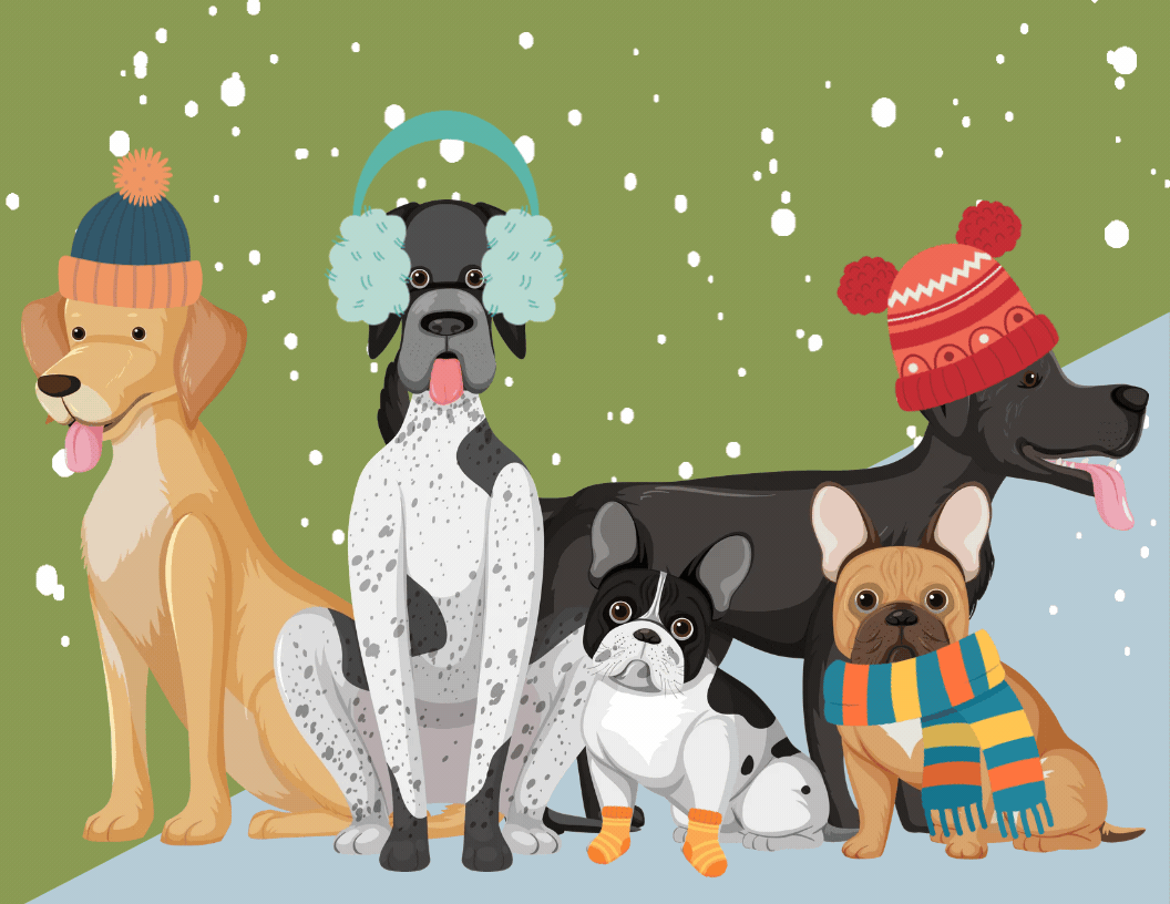 Heckin’ Good Doggos: Winter Misadventure