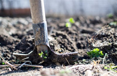 Scratching the Surface: Soil Formation, Structure, and Chemistry (online)