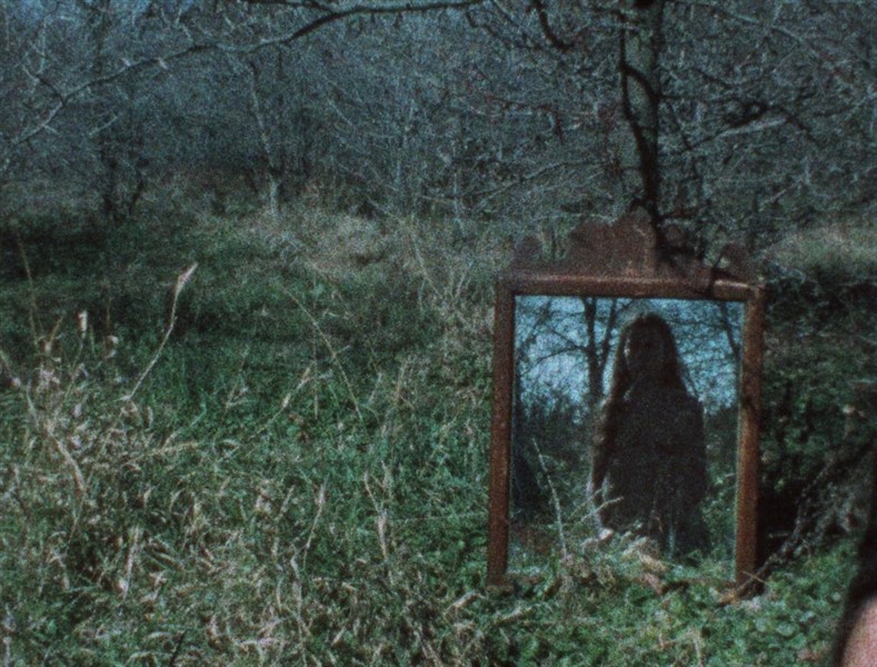 (Online) Ana Mendieta: On the Body and Landscape