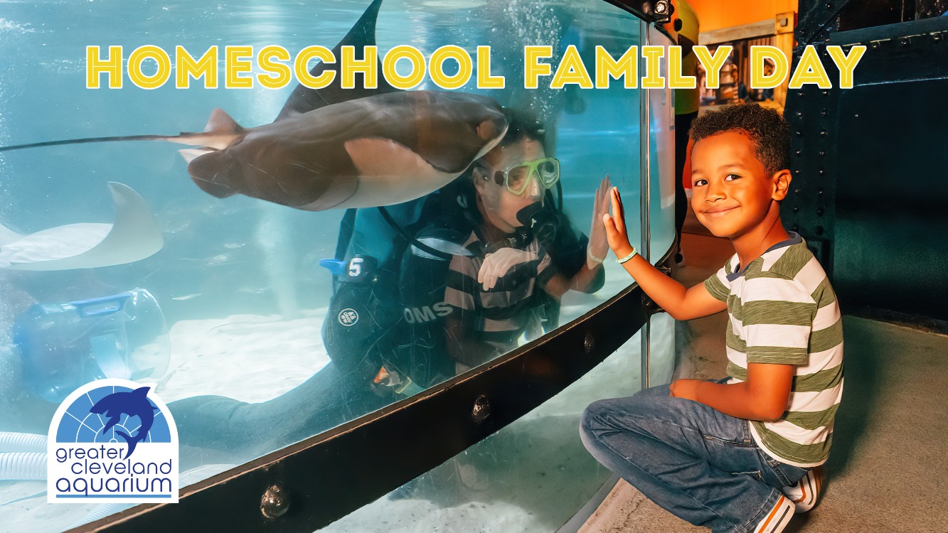 Homeschool Family Day