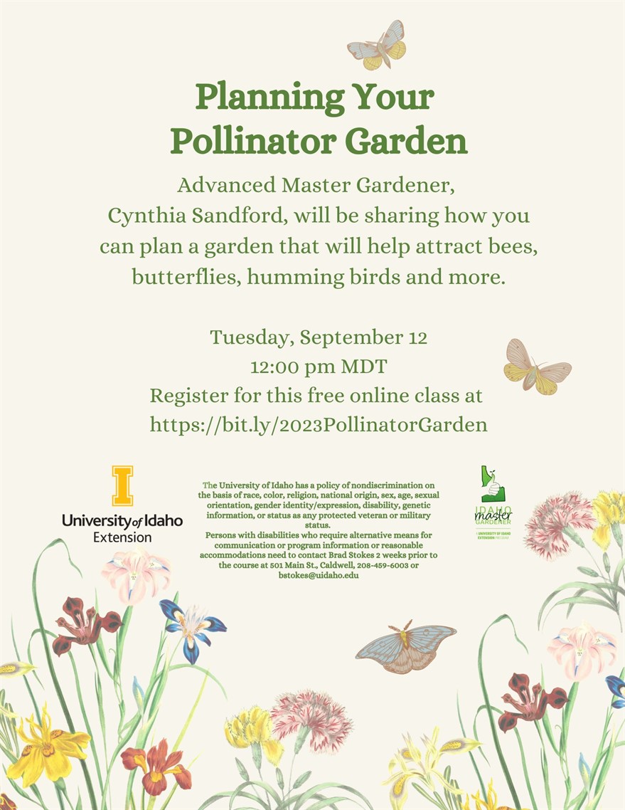 Planning Your Pollinator Garden, Tuesday, Sep. 12, 2023, 12 - 1 p.m. MDT -  Calendar - UI Extension in Coeur d'Alene Reservation