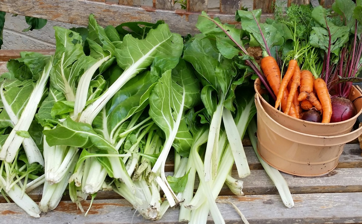 Grow it, Cook it, Compost it