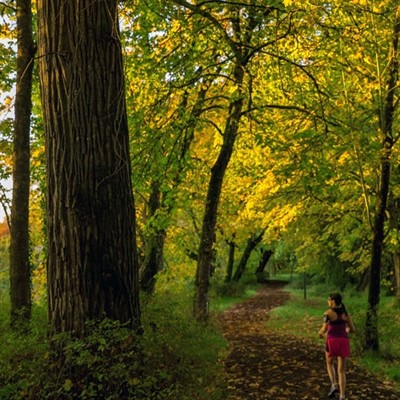 Forest Bathing (in-person)