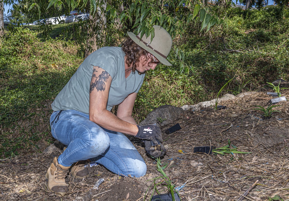 Volunteer Bushcare Working Bee - Arnwood Place Bushcare Group