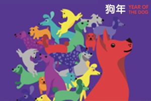 TCAS Lecture in Celebration of the Chinese New Year 2018