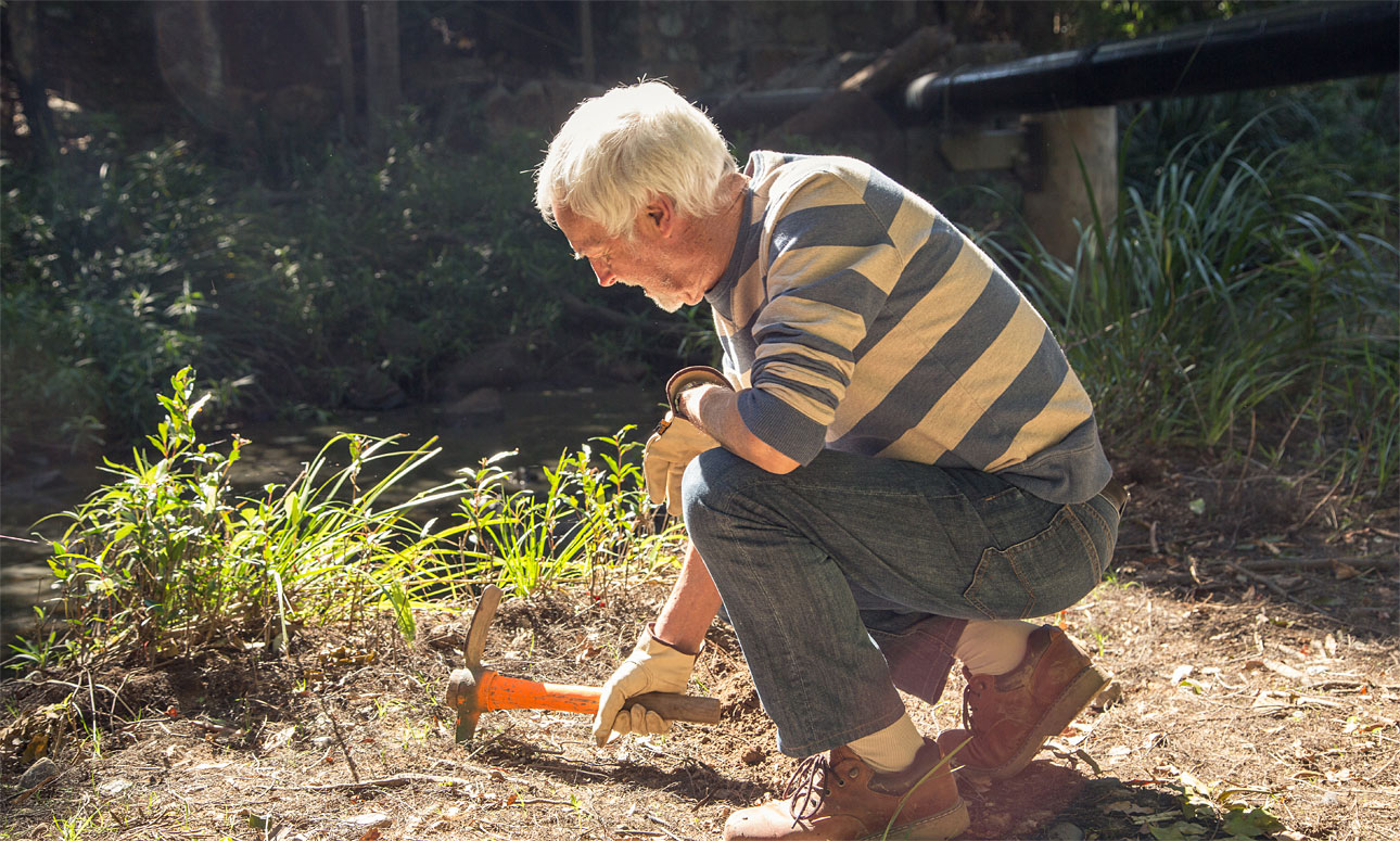 Pruning fruit trees