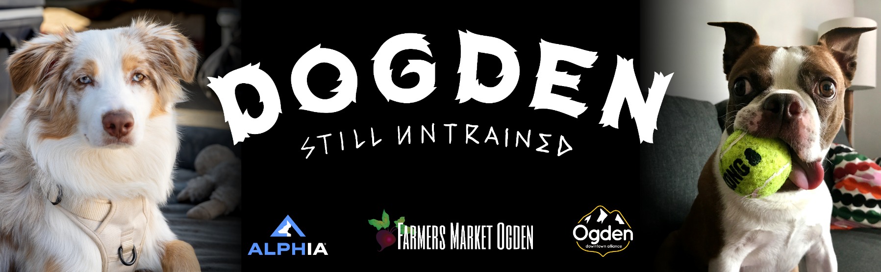 2nd Annual Dogden Festival