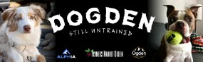 2nd Annual Dogden Festival