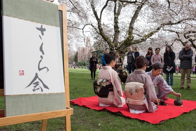 Cherry Blossom Viewing Event