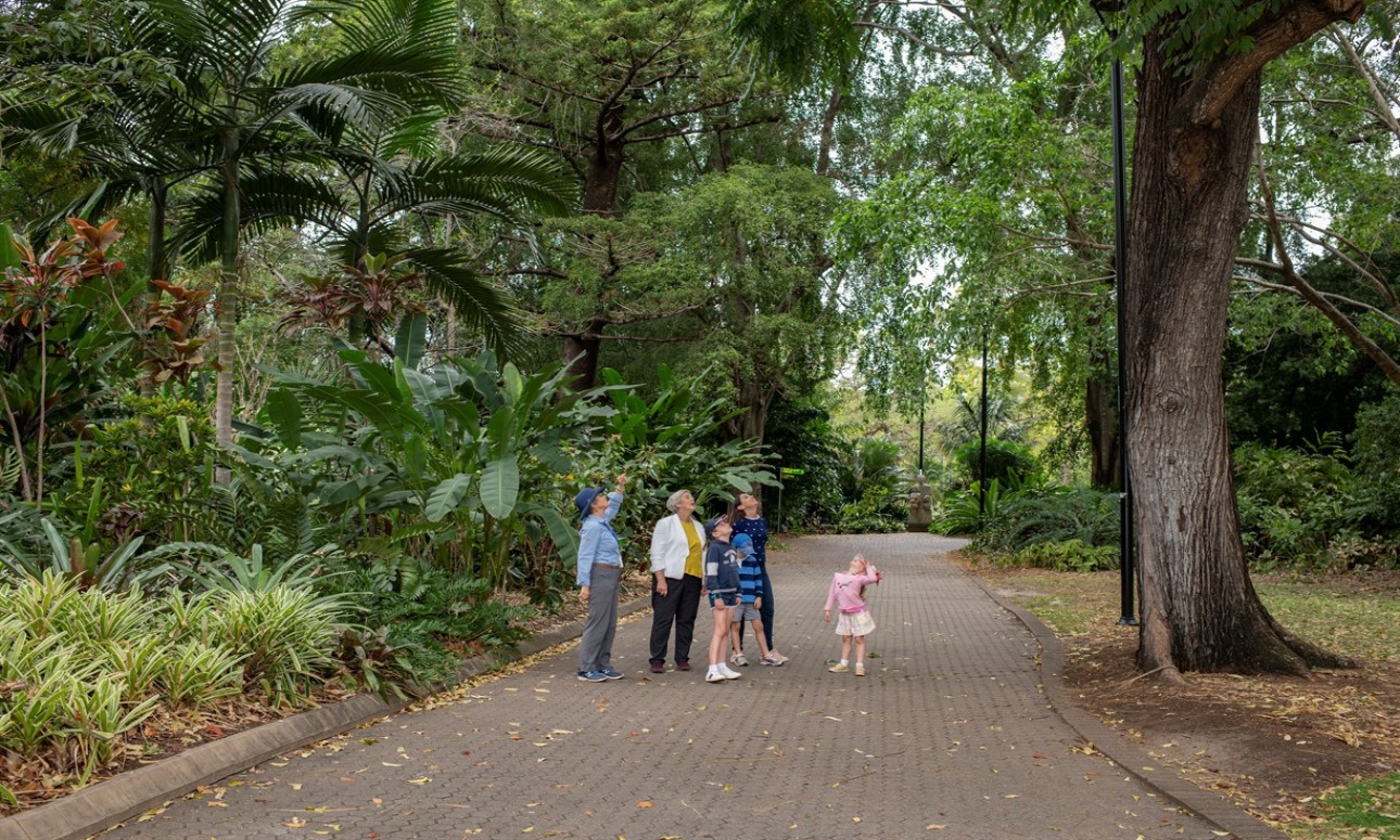 Sunday Guided Walks - City Botanic Gardens