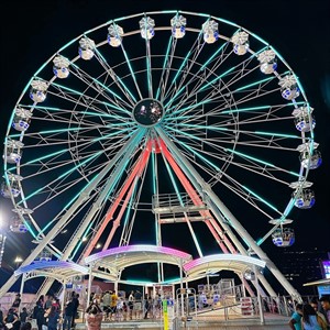 Empire State Fair