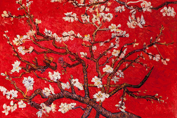 Chinese New Year Back to 1800s: Through the Looking Glass of The Dream of the Red Chamber